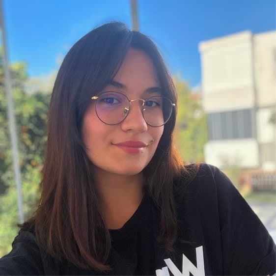 Avatar of Mery Kaftar